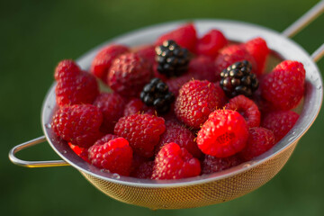 raspberries in a bowl