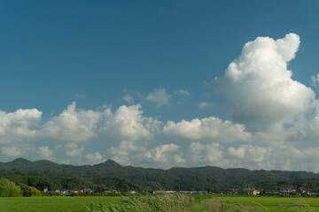 Obraz premium 夏の里山