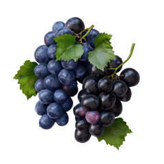 Fototapeta premium Isolated black grapes and blue grapes with leaves on a transparent background with clipping path and full depth of field.