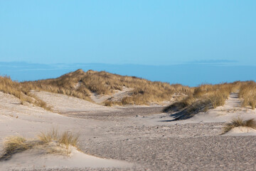 Råbjerg Mile in Denmark