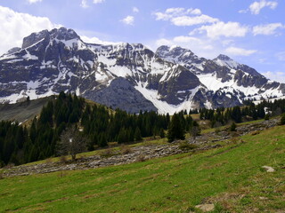 alpine landscape with meadows, pine forest and mountain range covered in snow in spring in col de...