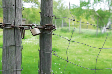 Padlock with chain on the fence