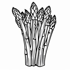 asparagus, thick outlines like a kids coloring book, no shading, minimalist, line art, black and white, no colors 