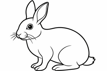 
rabbit line art vector illustration, Cute bunny rabbit outline, easter bunny line art vector
