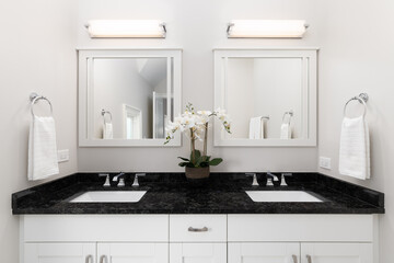 A bathroom detail with a white vanity cabinet, a lily on a black countertop, and lights mounted above two mirrors.