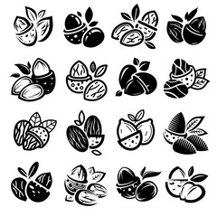 Almond set. Collection icon almond. Vector