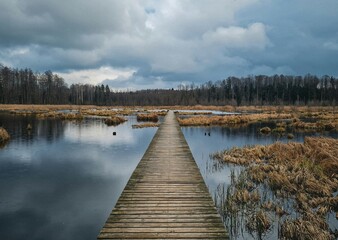 wooden bridge over lake