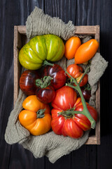 Wooden box with different sizes and varieties ripe tomatoes close up. Mix of multicolored kind of...