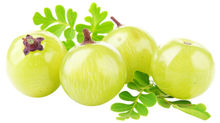 amla groups isolate on transparent background