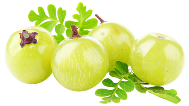 amla groups isolate on transparent background