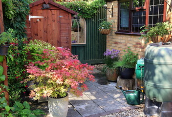 Garden - Back garden shed