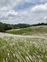 field and blue sky in Khao Yai National Park  Thailand
