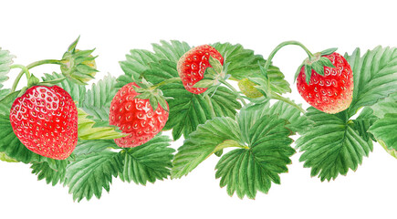 Red strawberry seamless border. Cut in half and whole berries. Hand drawn watercolor ornament. Delicious food art, fresh botanical realistic painting. Summer berry banner for menu, packaging, prints
