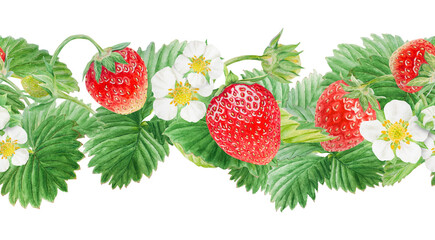Red strawberry seamless border. Cut in half and whole berries. Hand drawn watercolor ornament. Delicious food art, fresh botanical realistic painting. Summer berry banner for menu, packaging, prints