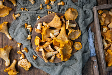 Chanterelle mushrooms on a wooden cutting board on rustic table with knife. Food photography