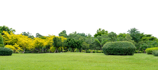 Grass and green trees city park isolated on transparent background, PNG File