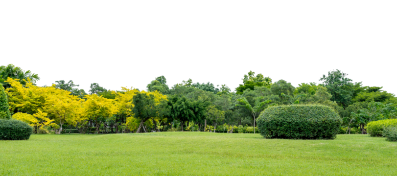Grass and green trees city park isolated on transparent background, PNG File