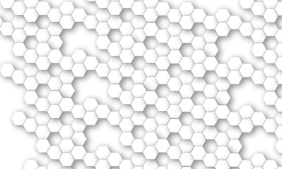 Abstract white and gray hexagon technology lines background. Abstract white and grey color hexagonal geometric background with copy space. Abstract white lines background.
