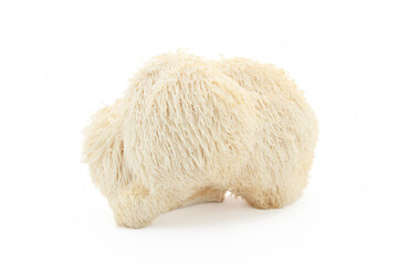 Lion's Mane Mushroom on a white background.