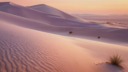 Sunset over the sand dunes in the desert background