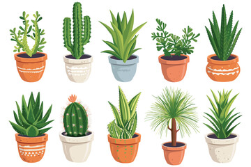 Fototapeta premium Set of decorative house plants in a pot, Green flora for the house decorations, Beautiful plants in decorative pots, Indoor plants in flower pot, Collection of indoor decorative house plants in a pot