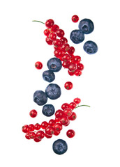 Fly berries of red currant and blueberries