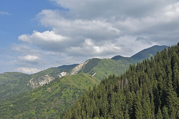 Naklejka premium summer cloudy landscape in the mountains