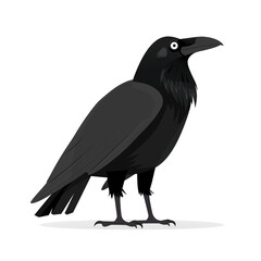 Fototapeta premium Raven Scandinavian Minimalism animal fashion cartoon isolated whitebackground 16:9