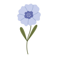 Blue wild flower