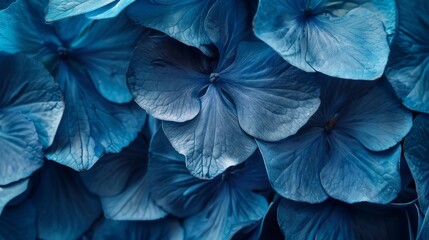 Close-up of vivid blue flower petals with intricate textures in natural light, natural background
