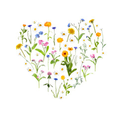 Heart made of meadow flowers on white gradient background