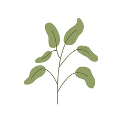 Flat plant illustration