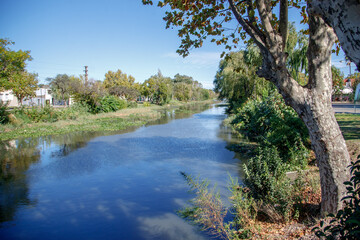 river in the forest