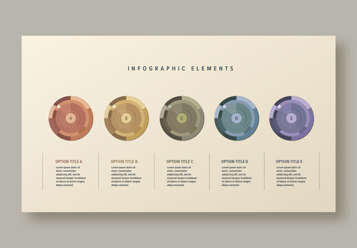 5 Step Workflow Infographic