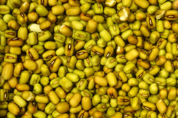 Close up of dry mungo beans soaked in water