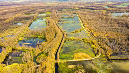 Der Fluss die Spree bei Lübbenau im Sommer - Luftbilder