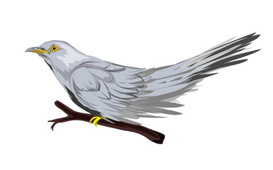 illustration of a bird icon perched on a tree branch without a background