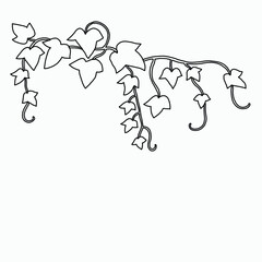 Floral ivy drawing decorative ornament flat design.