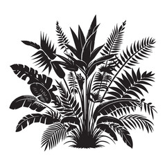 plant vector Interior or indoor tree silhouette