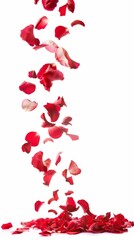 Falling Rose Petals on White Background: Elegant Floral Imagery for Valentine's Day, Romantic Concepts, and Luxury Branding. Perfect for Wedding Stationery, Greeting Cards, and Dramatic 4K Wallpapers 