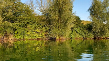 Serene Lake with Reflective Calm Waters and Verdant Forest Landscape on a Sunny Day