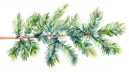 Vibrant Watercolor Painting of Evergreen Pine Branches