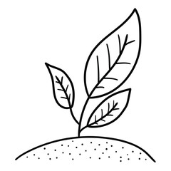 Hand drawn doodle sprout on white background.