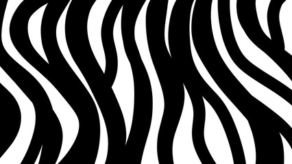 Black and white zebra skin texture background 