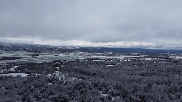 Nice snowy forest in Seva