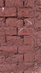 Peruvian Wall 2

Wall from a simple Peruvian house in the mountains. Bricks made from mud.
