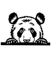 Peeking Panda | Panda | Bamboo Eater | Panda Face | Wildlife | Zoo Animal | Animal Life | Cute Panda | Original Illustration | Vector and Clipart | Cutfile and Stencil