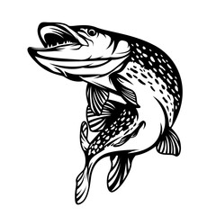Pike Fish | Fishing Vibe | Angler Dad | Aquatic Animal | Big Catch | Wild aquatic animal | Tropical Fish | Fish | Original Illustration | Vector and Clipart | Cutfile and Stencil