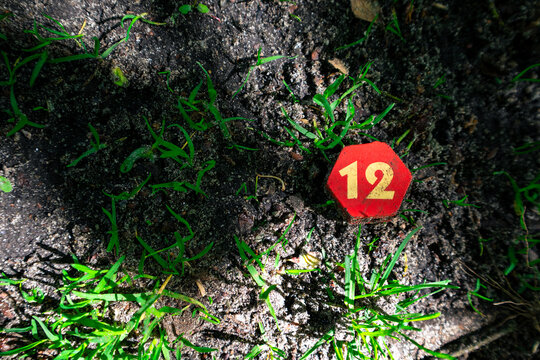 Number 12 on a small red wooden hexagon. The figure with the number twelve lies on the ground