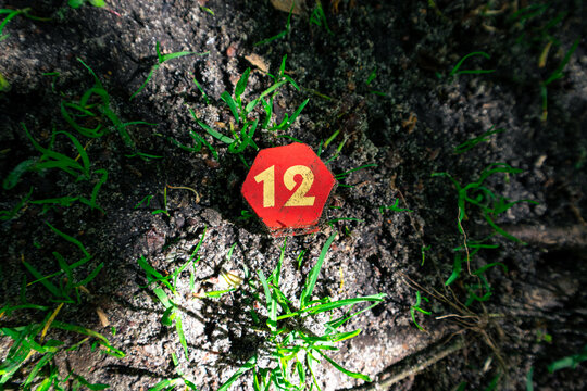 Number 12 on a small red wooden hexagon. The figure with the number twelve lies on the ground